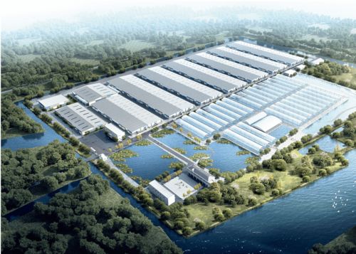 浙江千噸級(jí)南美白對(duì)蝦工廠化養(yǎng)殖場 融合兩大全球先進(jìn)技術(shù)，引領(lǐng)產(chǎn)業(yè)新篇章