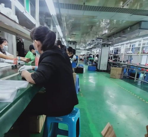 破解用工荒迷思 從浙江技術(shù)服務(wù)看勞動(dòng)力市場的價(jià)值回歸